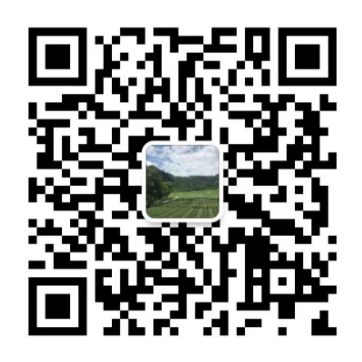 the qr code